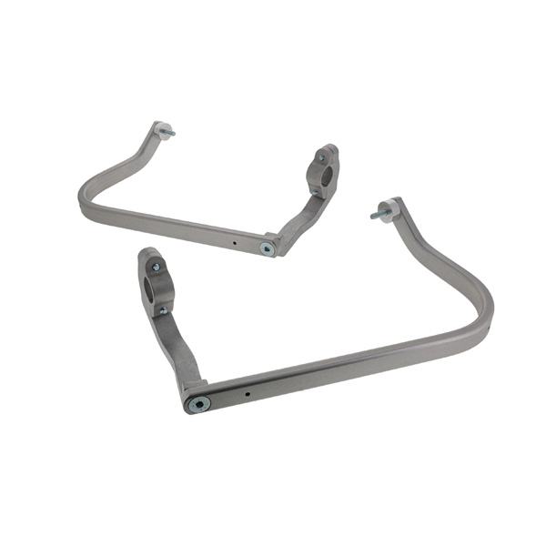 Daisy on the Ohoopee